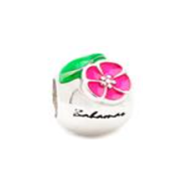 Bermuda Hibiscus Charm main image 0