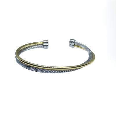 Two Toned Twisted Cable Bangle